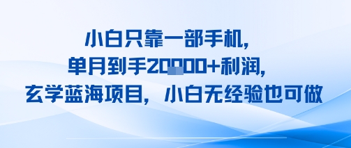 小白只靠一部手机，单月到手2W+利润，玄学蓝海项目，小白无经验也可做-哦耶社群