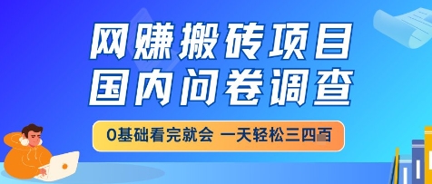 网创搬砖项目，国内问卷调查，小白轻松上手，一天三四张的也不难，干就完了【揭秘】-哦耶社群