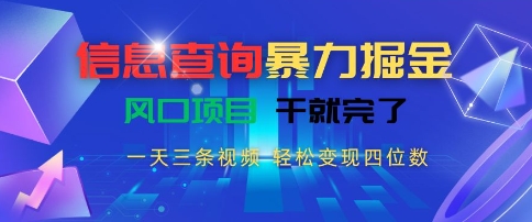 信息查询暴力掘金，一天三条视频，轻松变现四位数，风口项目干就完了【揭秘】-哦耶社群