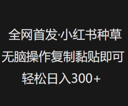 全网首发，小红书种草无脑操作，复制黏贴即可，轻松日入3张-哦耶社群