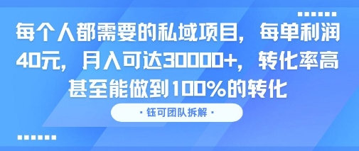 每个人都需要的私域项目，每单利润40米，月入可达3W+，转化率高 甚至能做到100%的转化-哦耶社群
