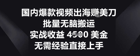 国内爆款视频出海挣美刀，批量无脑搬运，实战收益4.5k，无需经验直接上手-哦耶社群