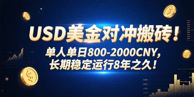 （15551期）USD美金对冲搬砖!单人单日800-2000CNY，长期稳定运行8年之久!-哦耶社群