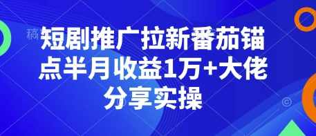 短剧推广拉新番茄锚点半月收益1万+大佬分享实操-哦耶社群