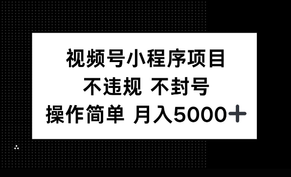 视频号小程序项目，不违规不封号，操作简单 月入5000+-哦耶社群
