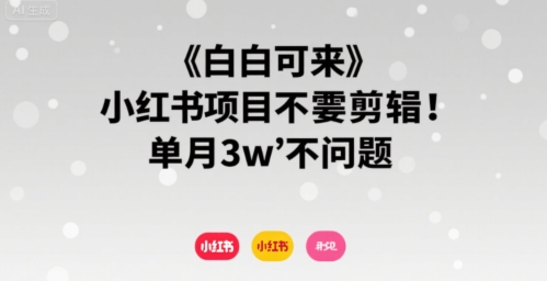 小白可来 小红书项目不需要剪辑 单月3w不是问题-哦耶社群