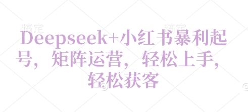 Deepseek+小红书暴利起号，矩阵运营，轻松上手，轻松获客-哦耶社群