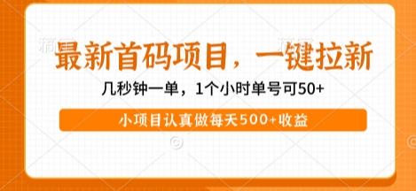 最新首码项目，操作最简单，收益高，一键拉新，1个小时单号可50+，小项目认真做每天5张+收益【揭秘】-哦耶社群