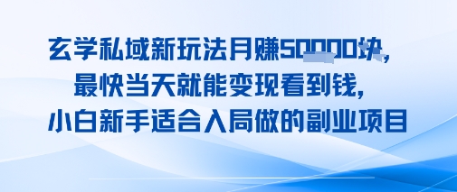 玄学私域新玩法月入1W+，最快当天就能变现看到米，小白新手适合入局做的副业项目-哦耶社群