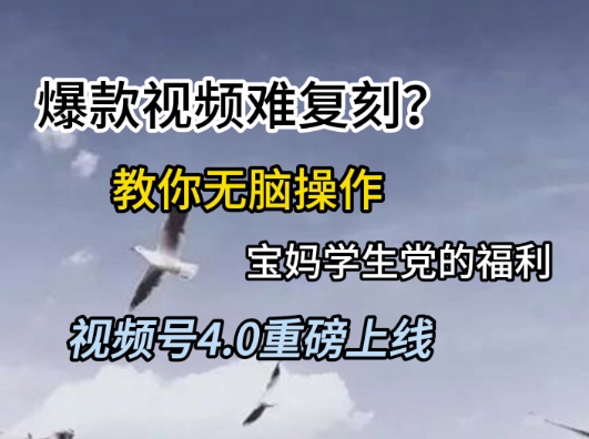 视频号4.0重磅上线，爆款视频难复刻？教你无脑操作宝妈学生党的福利【揭秘】-哦耶社群