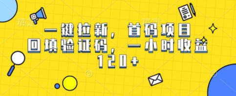 一键拉新，首码项目，回填验证码，一小时收益1张-哦耶社群