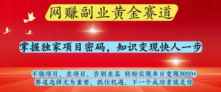 网创副业黄全赛道，掌握独家项目密码，知识变现快人一步，告别韭菜轻松实现单日变现1k+【揭秘】-哦耶社群