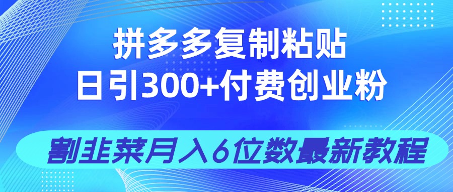 （14232期）拼多多复制粘贴日引300+付费创业粉，割韭菜月入6位数最新教程！-哦耶社群