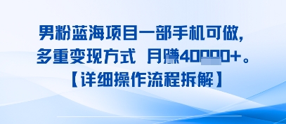 8月新男粉蓝海项目一部手机可做,多重变现方式 月入4W+【详细操作流程拆解】-哦耶社群