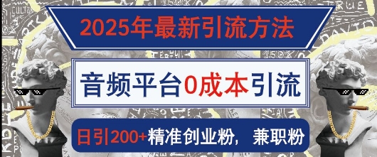 2025年最新引流方法，音频平台0成本引流，日引200+精准创业粉-哦耶社群