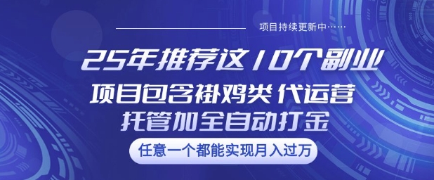 25年推荐这10个副业项目包含褂鸡类、代运营托管类、全自动打金类【揭秘】-哦耶社群