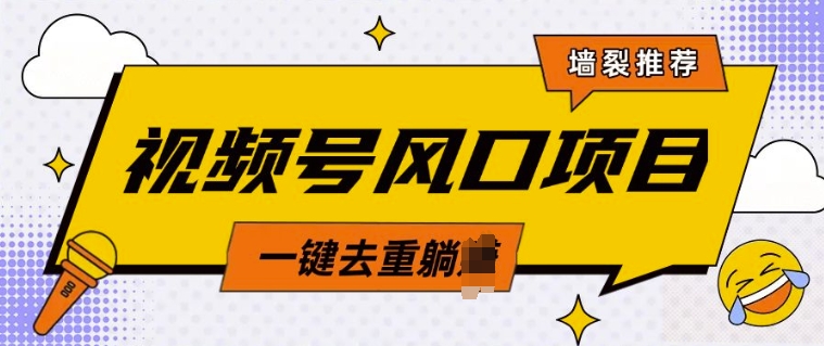 视频号风口蓝海项目，中老年人的流量密码，简单无脑，一键去重，轻松月入过W-哦耶社群