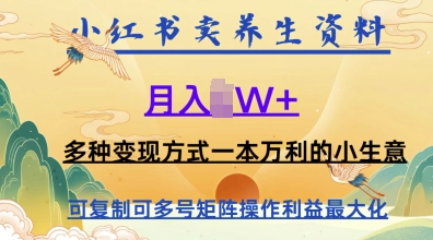 在小红书上卖养生资料，月入1w+，多种变现方式一本万利的小生意-哦耶社群