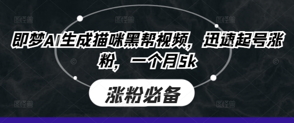 即梦AI生成猫咪黑帮视频，迅速起号涨粉，一个月5k-哦耶社群