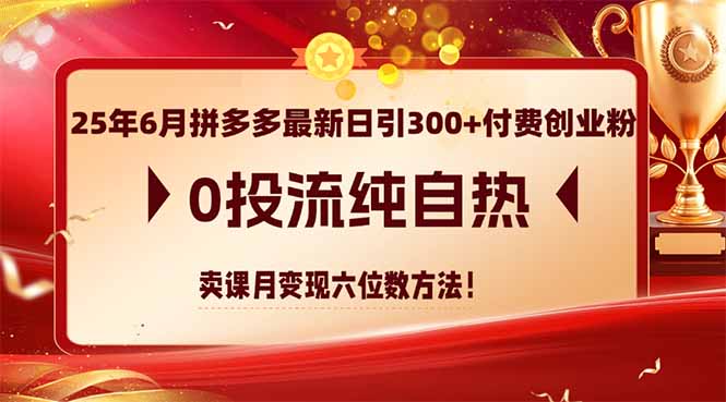 （14989期）25年6月拼多多最新日引300+付费创业粉，0投流纯自热 卖课月变现六位数方法-哦耶社群