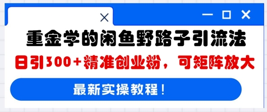 重金学的闲鱼野路子引流法，日引300+精准创业粉，可矩阵放大-哦耶社群