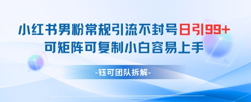 小红书男粉常规引流不封号日引99+变现简单 可矩阵可复制小白容易上手-哦耶社群