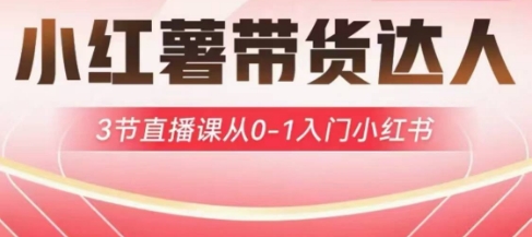 小红薯达人带货启航计划，3节直播课从0-1入门小红书-哦耶社群
