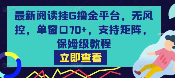 最新阅读挂G撸金平台,无风控,单窗口70+,支持矩阵,保姆级教程【揭秘】-哦耶社群