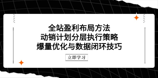 （14698期）全站盈利布局方法：动销计划分层执行策略，爆量优化与数据闭环技巧-哦耶社群