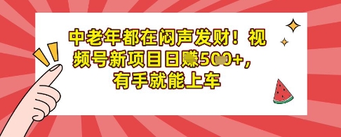 中老年都在闷声发财，视频号新项目日入多张，有手就能上车-哦耶社群