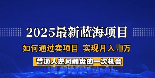 2025蓝海项目，普通人如何通过卖项目，实现月入过W，全过程【揭秘】-哦耶社群