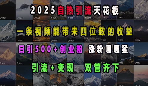 2025自热引流天花板，一条视频能带来四位数的收益，引流+变现双管齐下，日引500+创业粉，涨粉嘎嘎猛-哦耶社群