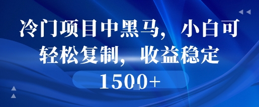 冷门项目中黑马，小白可轻松复制，收益稳定1.5k-哦耶社群