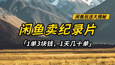 闲鱼卖纪录片1单3块钱，1天几十单，项目稳定有潜力-哦耶社群