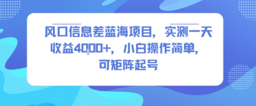 风口信息差蓝海项目，实测一天收益4k+，小白操作简单，可矩阵起号-哦耶社群