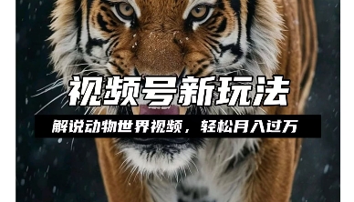 利用动物世界解说视频，赚分成计划收益，轻松月入过W，操作简单【揭秘】-哦耶社群