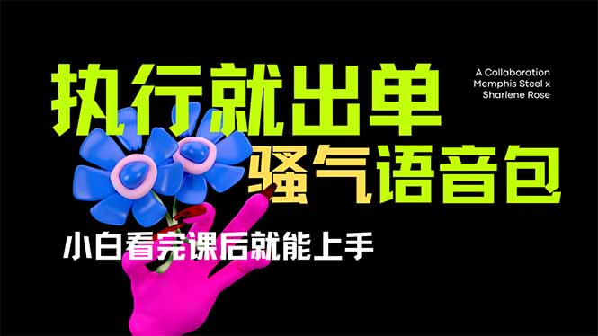 （14170期）爆火全网的开车导航骚气语音包,只要执行就出单，小白看完课程就能实操…-哦耶社群