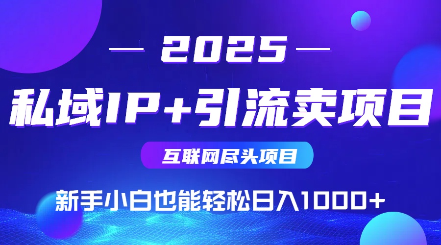 （15531期）2025网创尽头项目，私域IP+引流，新手小白也能在家日入1000+-哦耶社群