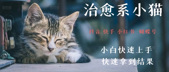 拆解，疯狂火爆！抖音，小红书，视频号小猫治愈的视频，轻松制作+快速拿到结果-哦耶社群