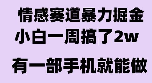 情感暴力掘金项目，新人操作一周挣了2W，长期稳定小白可做【揭秘】-哦耶社群