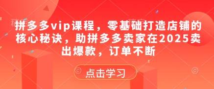 拼多多vip课程，零基础打造店铺的核心秘诀，助拼多多卖家在2025卖出爆款，订单不断-哦耶社群