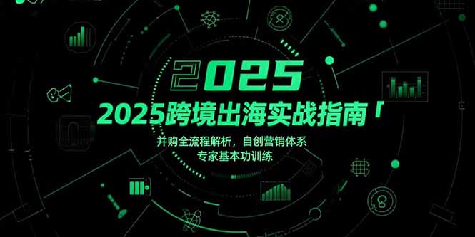 （15503期）2025跨境出海实战指南，并购全流程解析，自创营销体系，专家基本功训练-哦耶社群