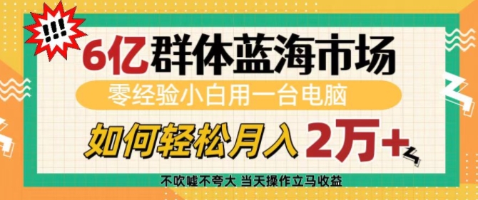 6亿群体蓝海市场，零经验小白用一台电脑，如何轻松月入过w【揭秘】-哦耶社群