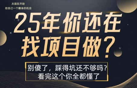 25年，你还在疯狂的找项目吗？别傻了，看完这个你都懂了【揭秘】-哦耶社群