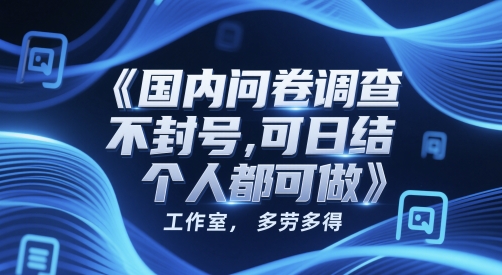 国内问卷调查，不封号，可日结，多劳多得，工作室，个人都可做-哦耶社群
