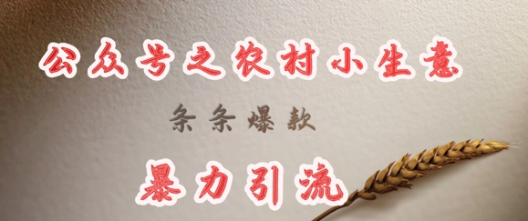 deepseek写农村小项目，条条爆款，暴力引流-哦耶社群