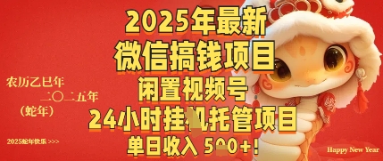 2025年最新微信搞钱项目，闲置视频号年24小时挂G托管项目，单日收入多张-哦耶社群