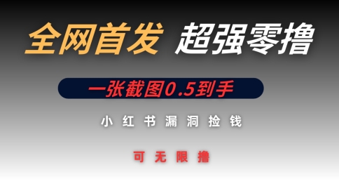 全网首发无限零撸捡钱项目，小红书一张截图0.5元可无限零撸-哦耶社群