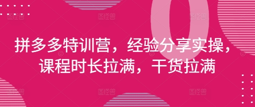 拼多多特训营，经验分享实操，课程时长拉满，干货拉满(更新25年4月)-哦耶社群