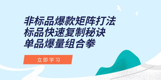 （15068期）非标品爆款矩阵打法，标品快速复制秘诀，单品爆量组合拳-哦耶社群